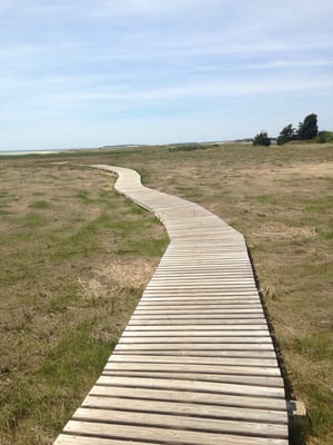 Mass Audubon Wellfleet Bay Wildlife Sanctuary by null