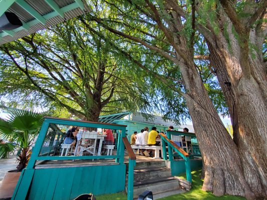 Ski Shores Cafe by null Ski Shores Cafe by null