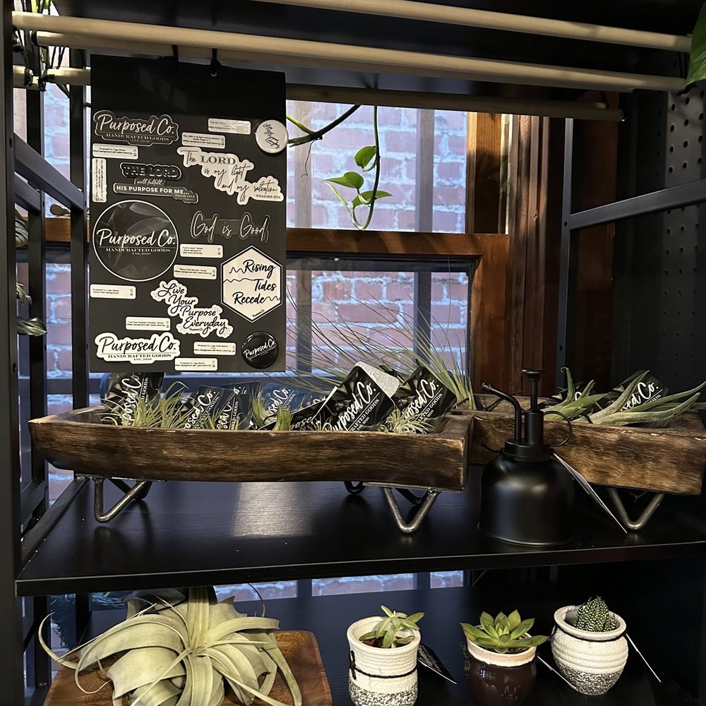 Two Cities Coffee Roasters - Pretty plants for sale - Coffee Roasteries Near Me - Clovis, California Two Cities Coffee Roasters - Pretty plants for sale - Coffee Roasteries Near Me - Clovis, California