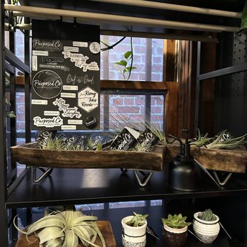 Two Cities Coffee Roasters - Pretty plants for sale - Coffee Roasteries Near Me - Clovis, California