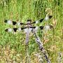 Photo of Blue Mounds State Park