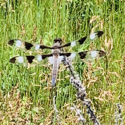 Blue Mounds State Park