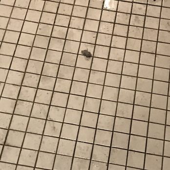 In-Shape Fitness - Balls of dirt and dust on the floor - Gyms Near Me - Antioch, California In-Shape Fitness - Balls of dirt and dust on the floor - Gyms Near Me - Antioch, California
