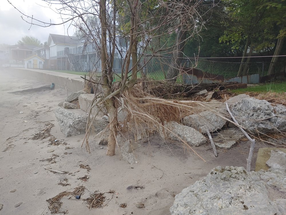 Acteon Environmental - mold inspector in Lafayette, IN