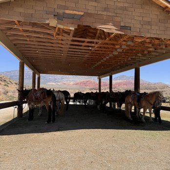 COWBOY TRAIL RIDES - Updated May 2026 - 372 Photos & 184 Reviews - 4053 ...
