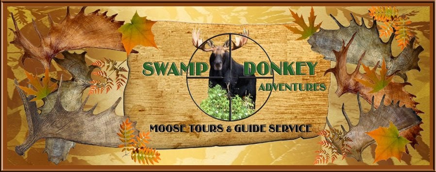 Swamp Donkey Adventures Logo