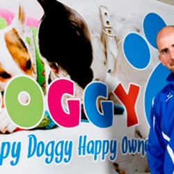doggy day care