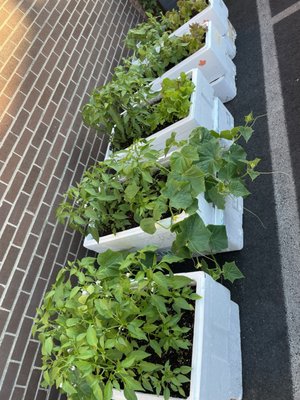 Eighty Twenty by null