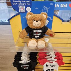 Emotional support bear!