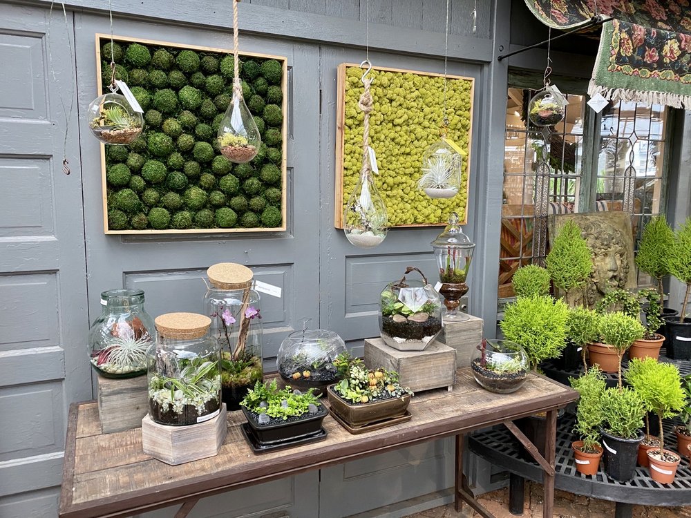 CACTUS & TROPICALS 135 Photos & 48 Reviews Nurseries & Gardening