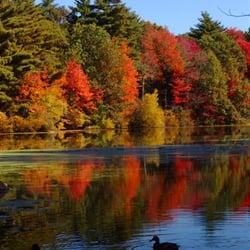 Mass Audubon - Stony Brook