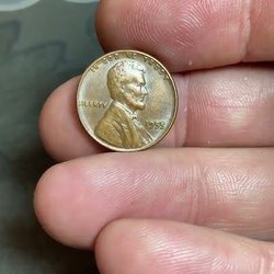 American Numismatic Investments - Tim Boens