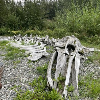 Alaska Native Heritage Center - Museums Near Me - Anchorage, Alaska Alaska Native Heritage Center - Museums Near Me - Anchorage, Alaska