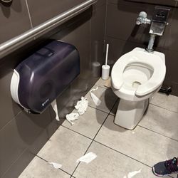 McDonald's - Men's Room Filth.