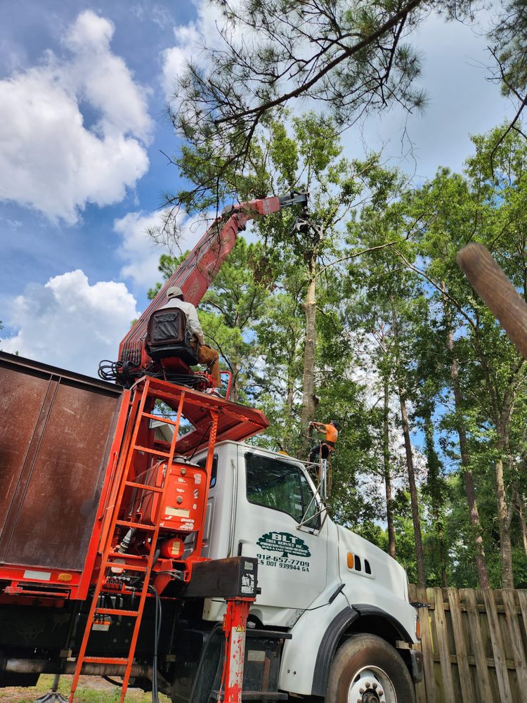 BLT Tree Services - tree service in Pooler, GA
