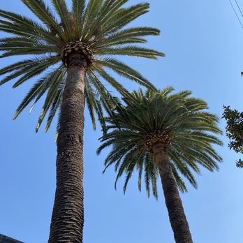 Three Palms Salon & Spa - Palms - Massage Near Me - Livermore, California Three Palms Salon & Spa - Palms - Massage Near Me - Livermore, California