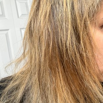 Bella Hair Salon - Hair Stylists Near Me - Davie Fl, Florida Bella Hair Salon - Hair Stylists Near Me - Davie Fl, Florida