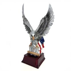 Awards Etc - Patriotic awards.