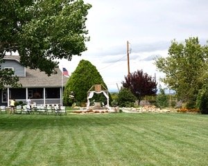 Mountain View Farm by null