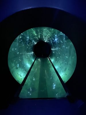 La Rochelle Aquarium by null