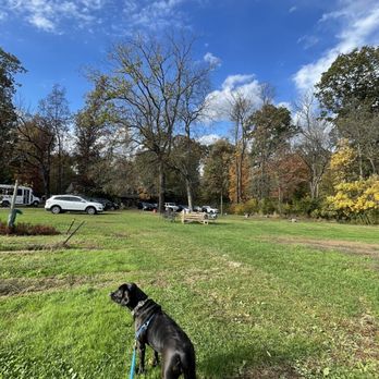 Wycombe Vineyards - Dog friendly! - Wineries Near Me - Furlong, Pennsylvania Wycombe Vineyards - Dog friendly! - Wineries Near Me - Furlong, Pennsylvania