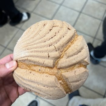 Mexico Bakery - Concha - Bakeries Near Me - San Jose, California Mexico Bakery - Concha - Bakeries Near Me - San Jose, California