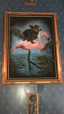 Cpt. Dan's Good Time Tavern by null