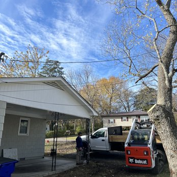Tree Musketeers - Tree Services Near Me Tree Musketeers - Tree Services Near Me
