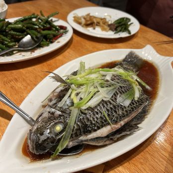 Honey Court - steamed live fish - Seafood Near Me - Seattle, Washington Honey Court - steamed live fish - Seafood Near Me - Seattle, Washington