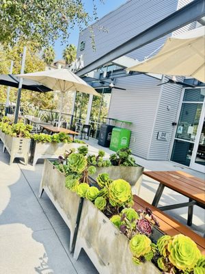Shake Shack Mission Valley by null