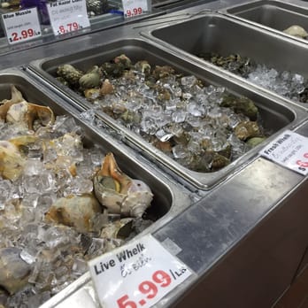 Ocean Seafood Market - Snails - Seafood Near Me - Fort Worth, Texas Ocean Seafood Market - Snails - Seafood Near Me - Fort Worth, Texas