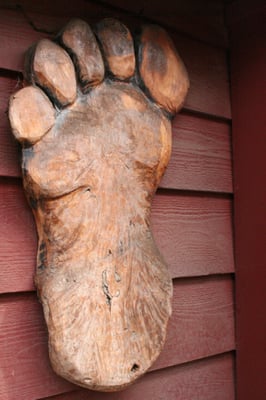 Bigfoot Discovery Museum by null