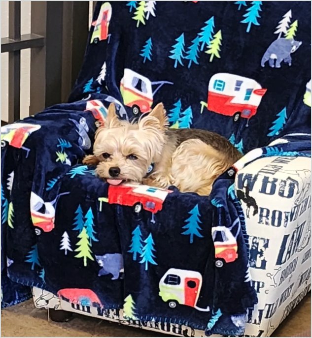 o Jupiter Florida Real Estate For Sale