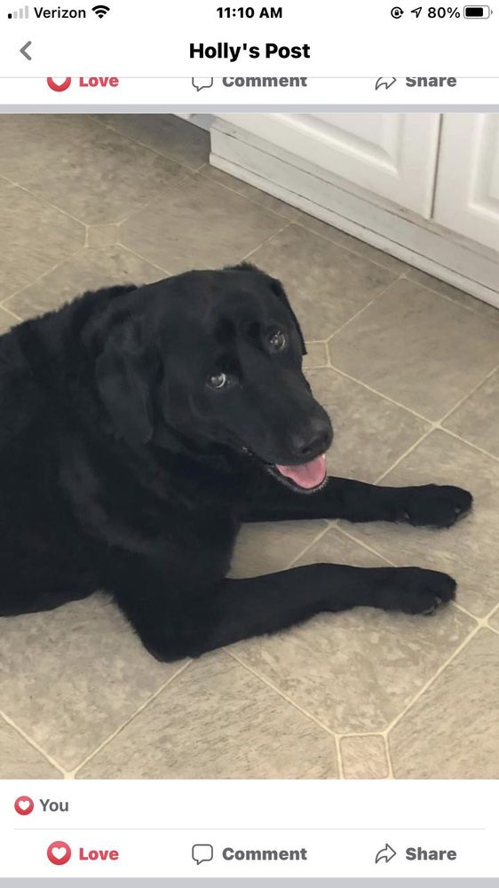 SOUTH ROBESON VETERINARY CLINIC Updated October 2024 5412 N