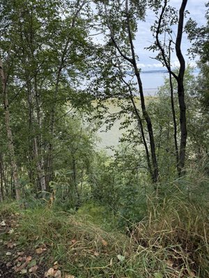 Tony Knowles Coastal Trail by null