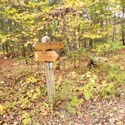 Winnakee Nature Preserve