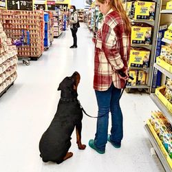 Real Life K9 - Me and my boy Kenai practicing our training skills