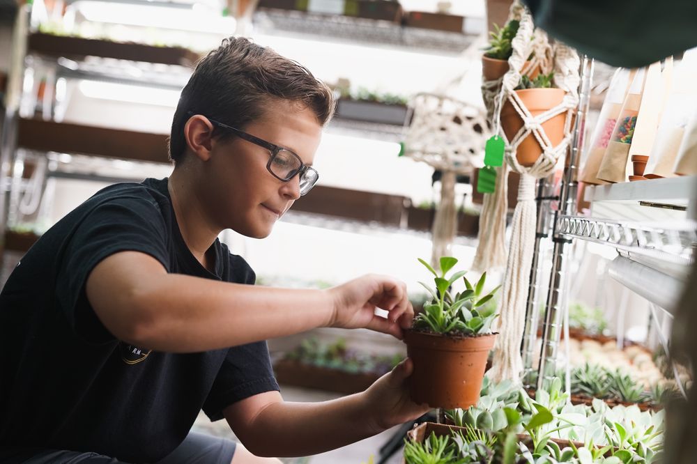 CLASSY CACTUS FARM Updated October 2024 25 Photos 1527 Rutledge