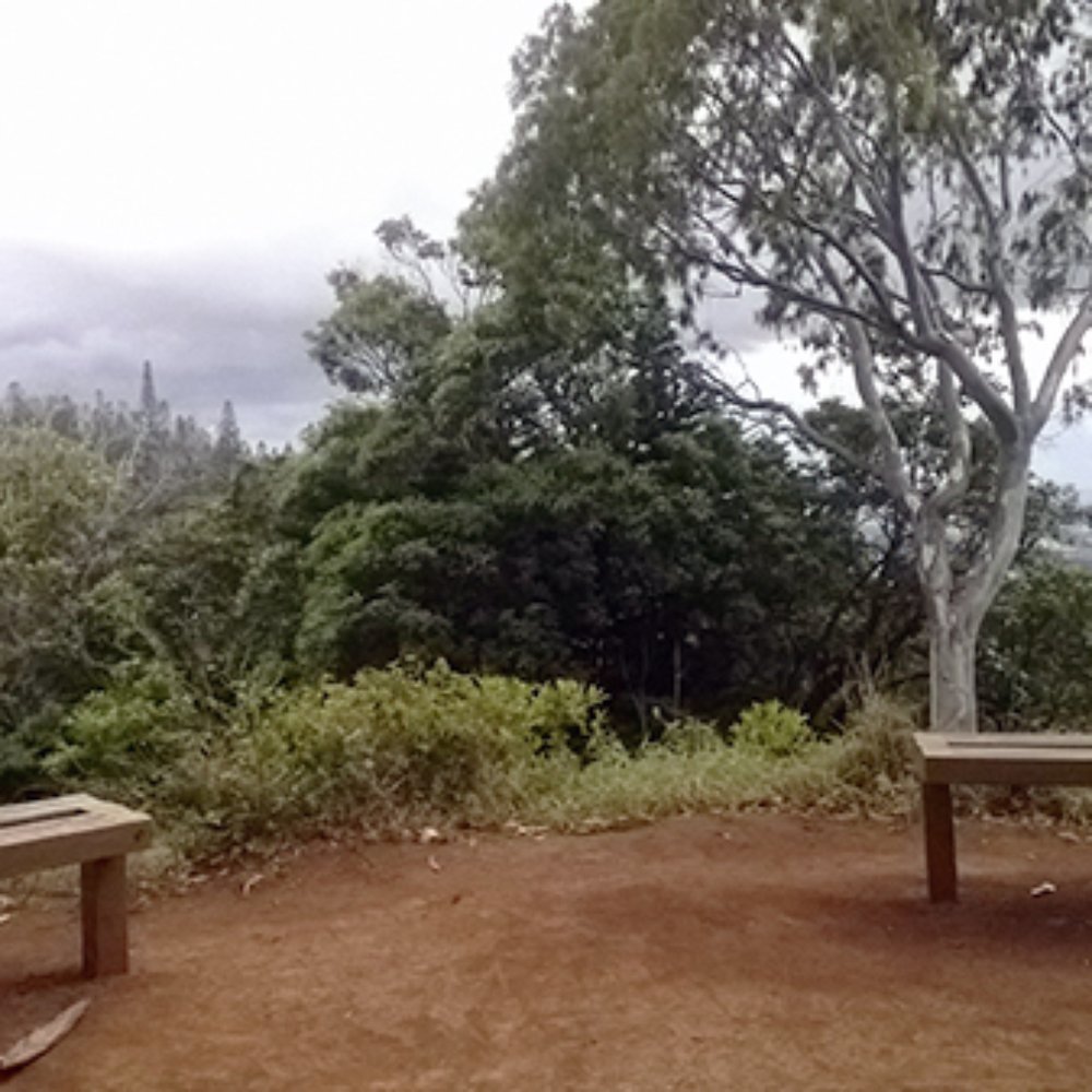 Aiea Loop Trail - Benches overlooking Pearl Harbor in the distance - Hiking Near Me - Aiea, Hawaii