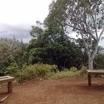 Aiea Loop Trail - Benches overlooking Pearl Harbor in the distance - Hiking Near Me - Aiea, Hawaii
