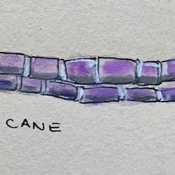 Asia Mall - My sketch of sugar cane - Shopping Centers Near Me - Eden Prairie, Minnesota