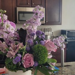 Violet Voilet Hues Designers Choice