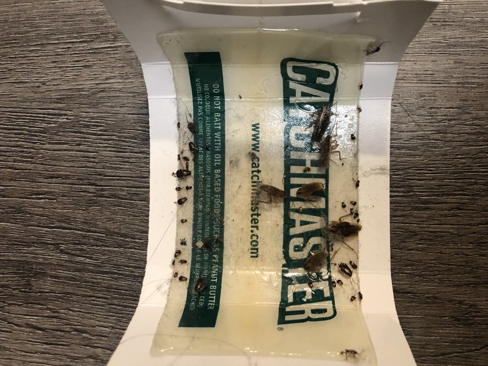 FOUNTAINS OF JUPITER Updated June 2024 12993 Jupiter Rd, Dallas