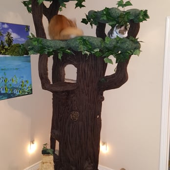 PAWZ WITH US - 8 foot tall life like cat climbing tree. - Pet Sitting Near Me - Conroe, Texas PAWZ WITH US - 8 foot tall life like cat climbing tree. - Pet Sitting Near Me - Conroe, Texas