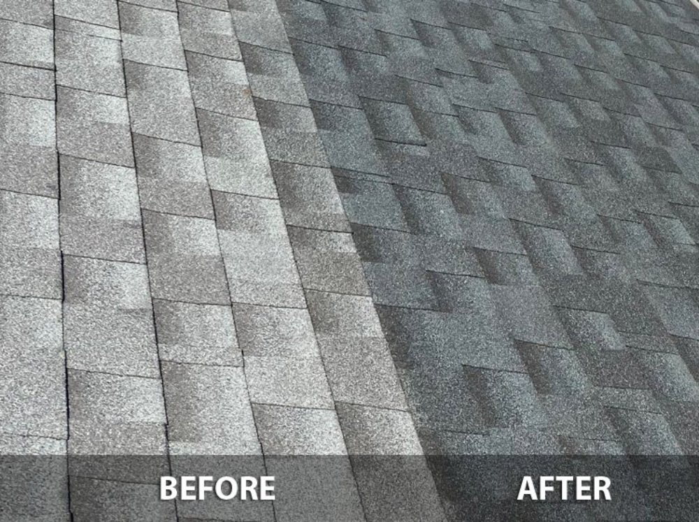 Slide of Shingle Guard