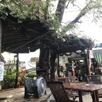 Wet Wendy's - Pretty flowers over the stage - Cocktail Bars Near Me - Cozumel, ROO Wet Wendy's - Pretty flowers over the stage - Cocktail Bars Near Me - Cozumel, ROO