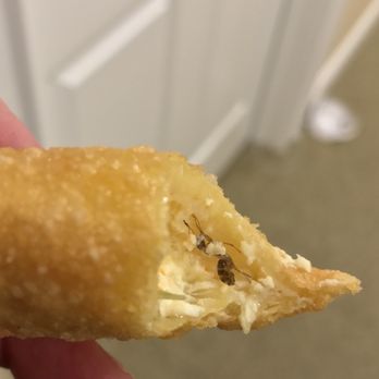 Moon Star Restaurant - I won't tell you how I reacted to this, but I'm sure you can imagine. Sozkwbajzmsnwvajabsb!!! - Chinese Near Me - Cromwell, Connecticut Moon Star Restaurant - I won't tell you how I reacted to this, but I'm sure you can imagine. Sozkwbajzmsnwvajabsb!!! - Chinese Near Me - Cromwell, Connecticut