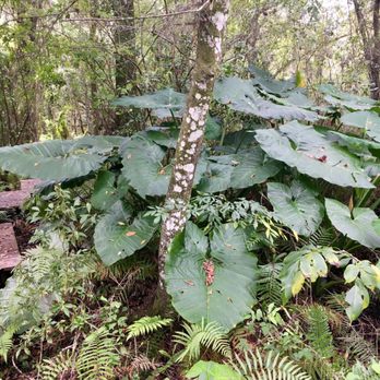 Camp Mars - Campgrounds Near Me - Venus, Florida