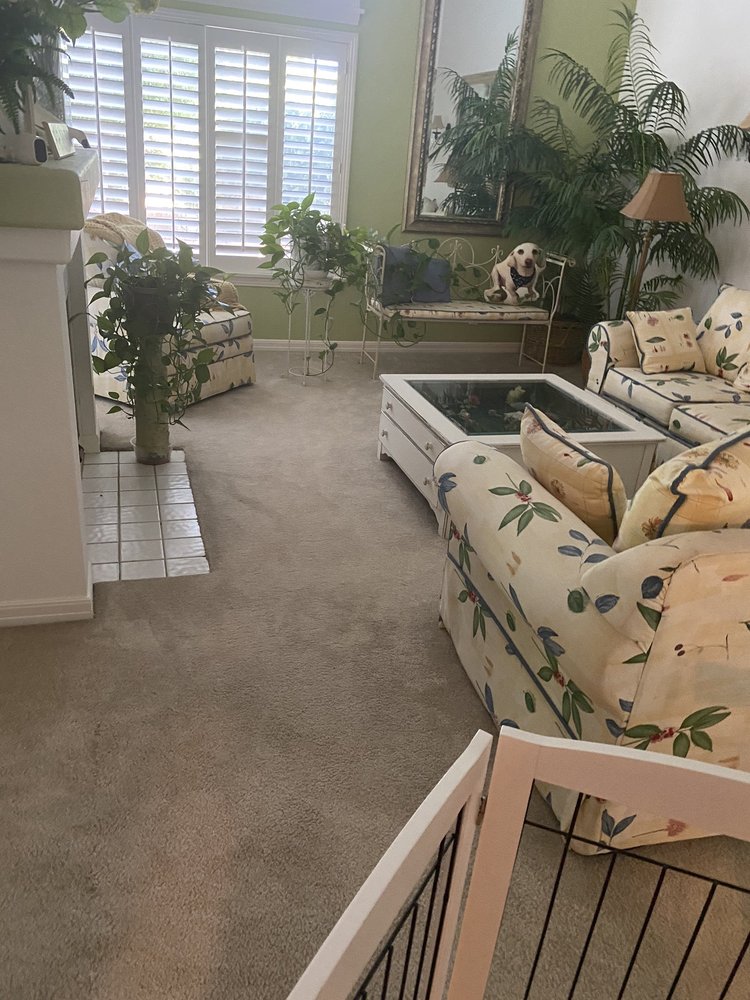 A & R CARPET CARE AND PROFESSIONAL CLEANING SERVICES Updated September 2024 21 Photos & 54