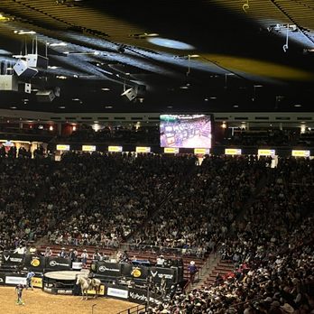 The Pit - Stadiums & Arenas Near Me - Albuquerque, New Mexico